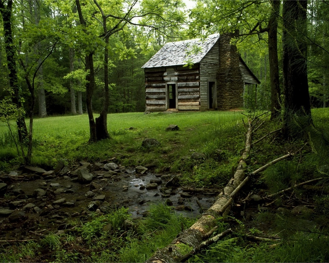 cabin, cottage, forest, tree, grass, green