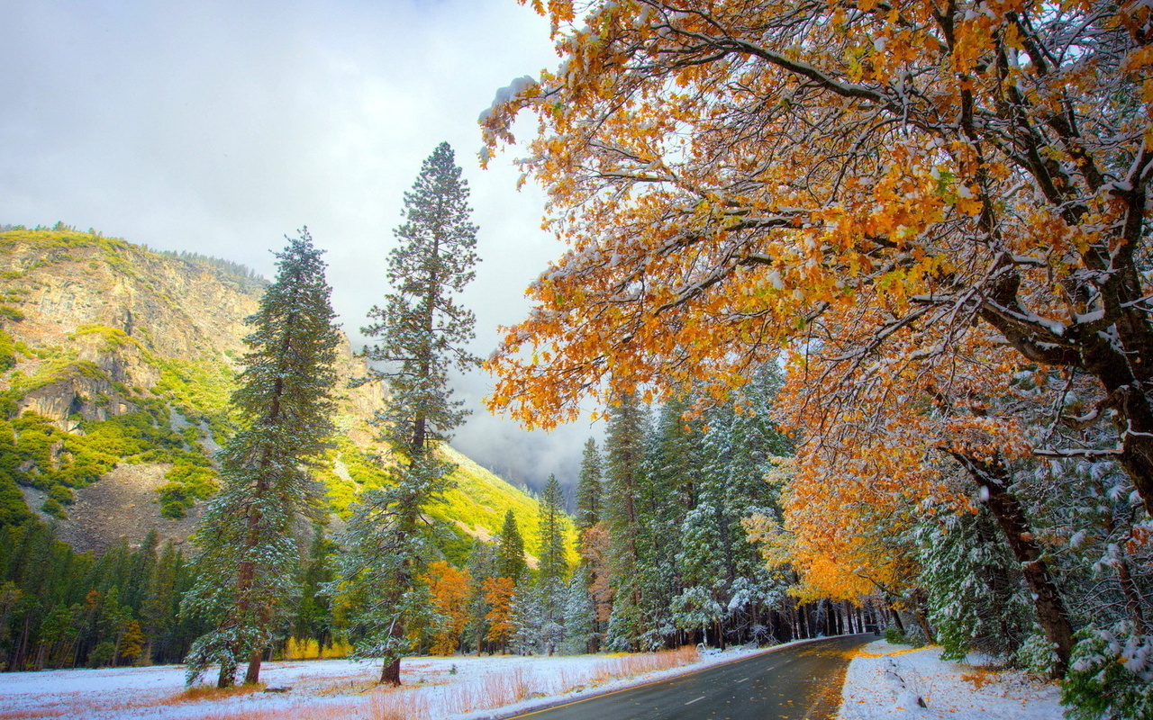 road, mountain, autumn, leaves