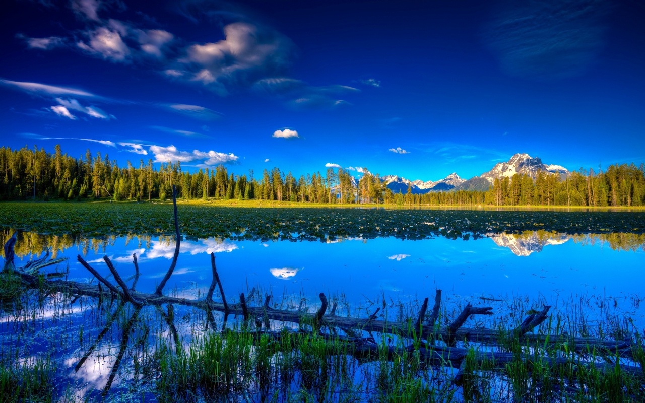 blue, water, lake, tree, mountain
