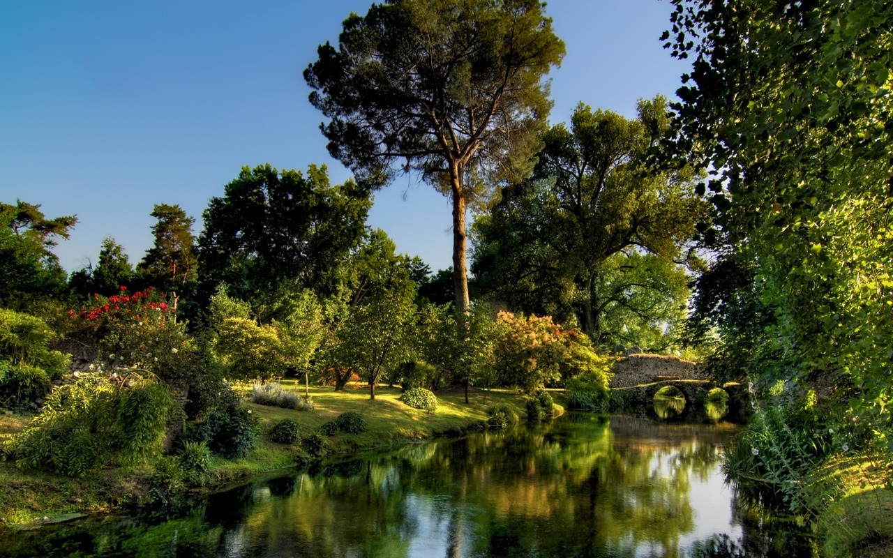 garden, water, grass, tree, green