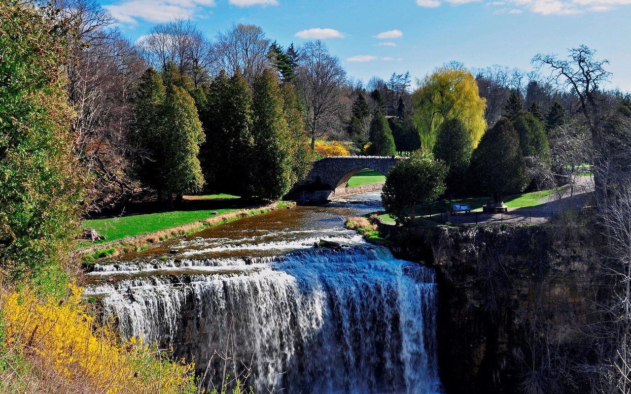 canada, ontario, waterfall, river, tree