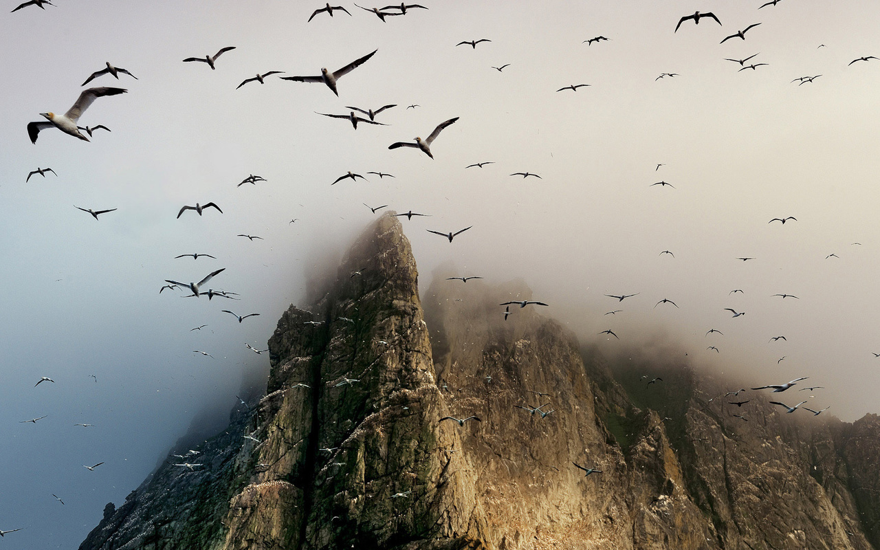 birds, mountain, fly, sky, clouds