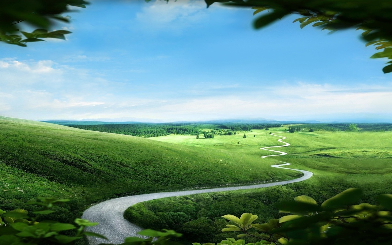 path, green, tree, grass, naturals