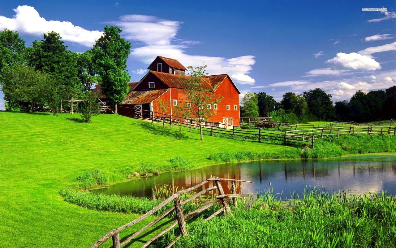 house, grass, tree, green