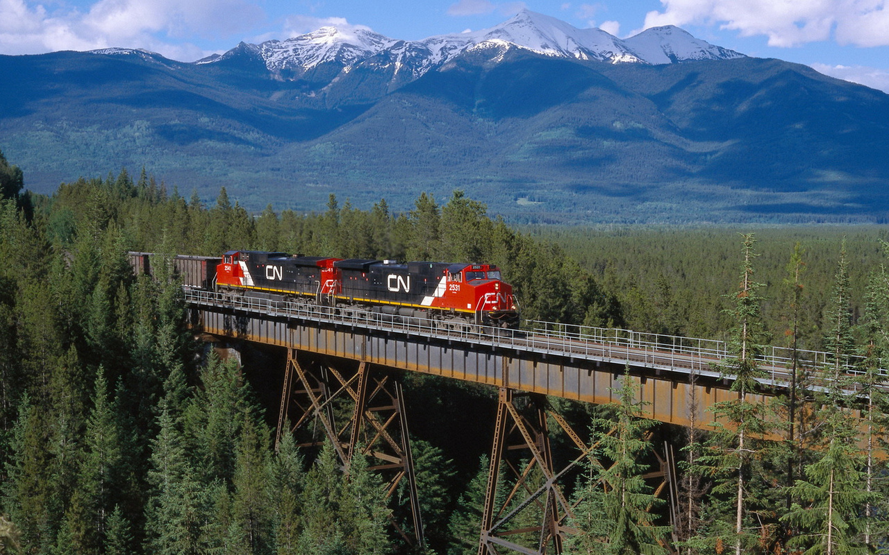 train, raildroad, forest, locomotion