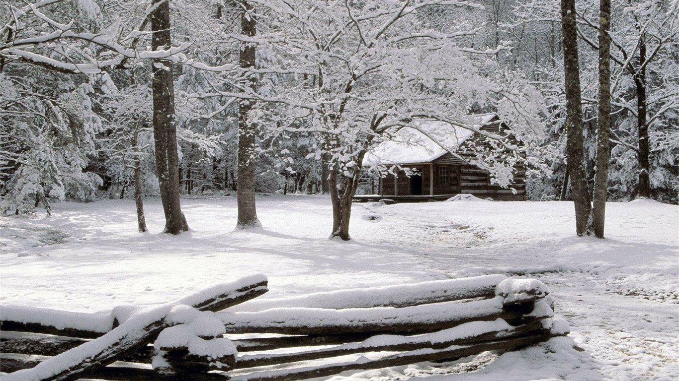 winter, snow, fence, tree, cottage, , , , , , , , , , 