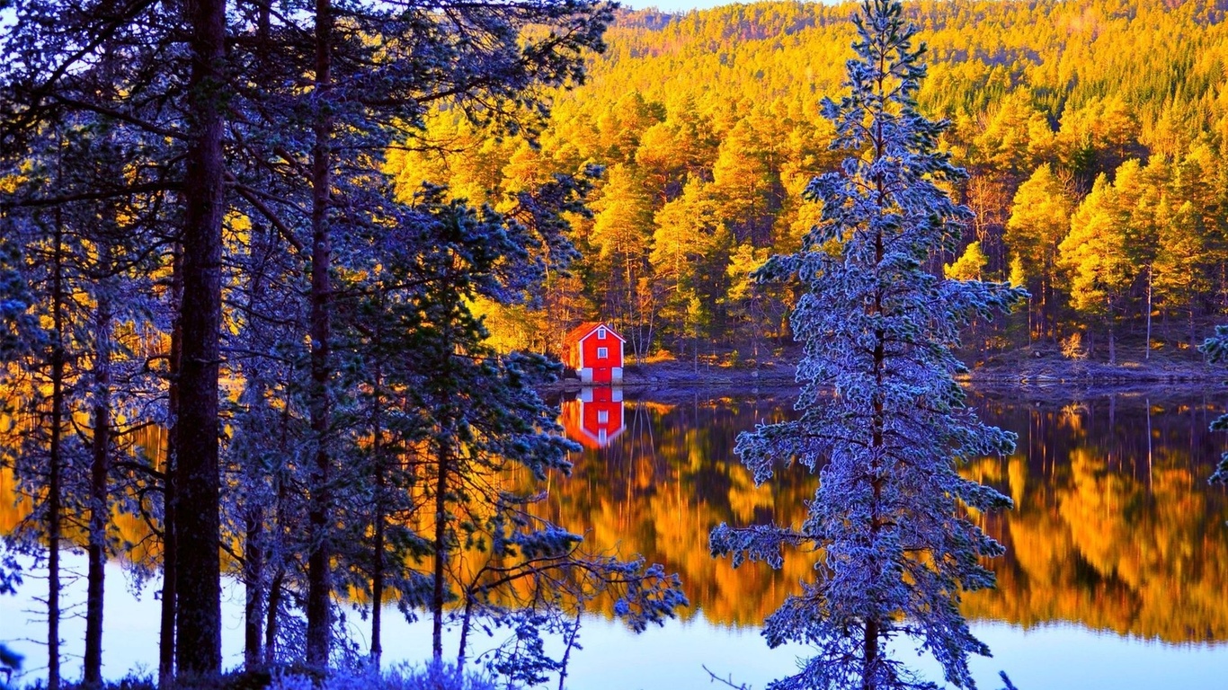 cabin, small, lake, tree, winter, snow