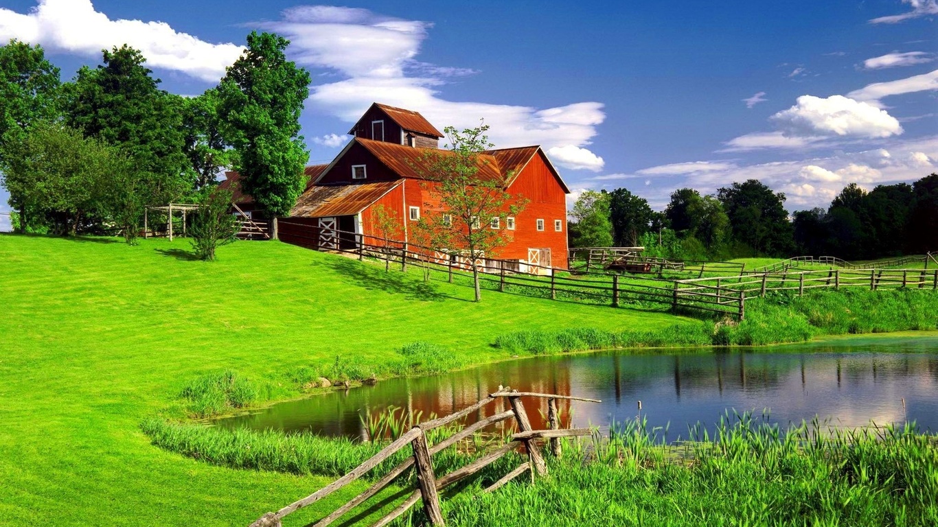 house, grass, tree, green