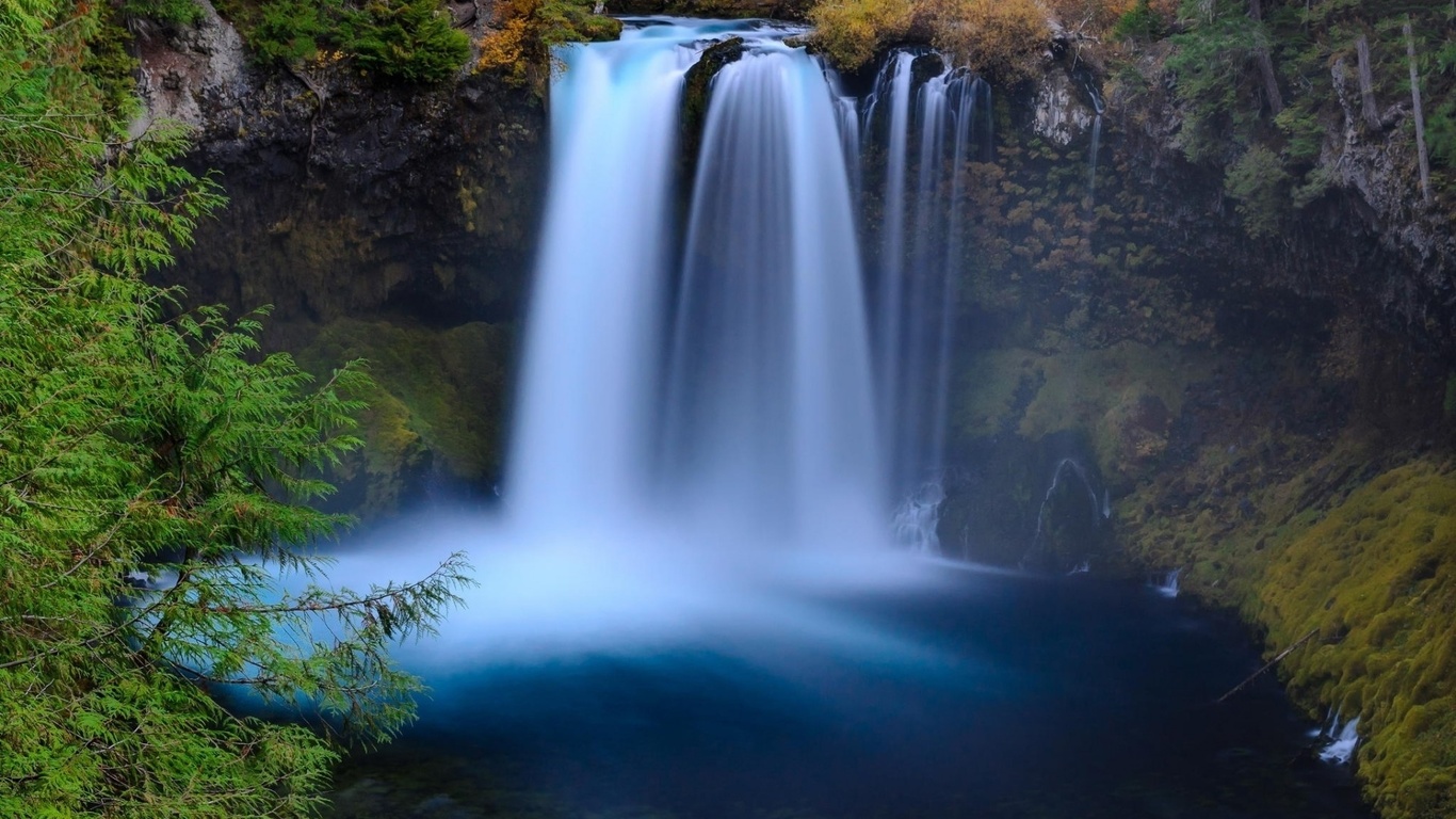 waterfall, forest, tree, river, water