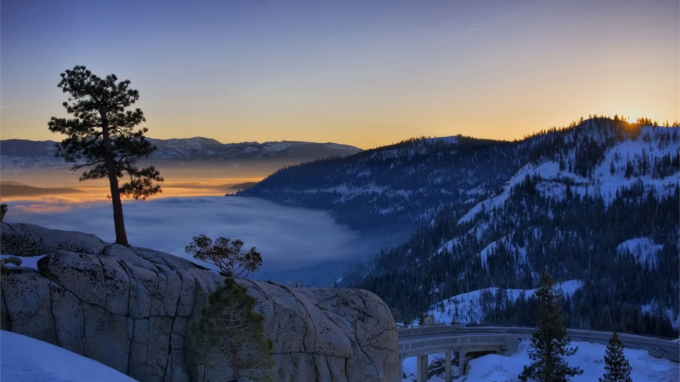 snow, mist, mountain, tree, sky