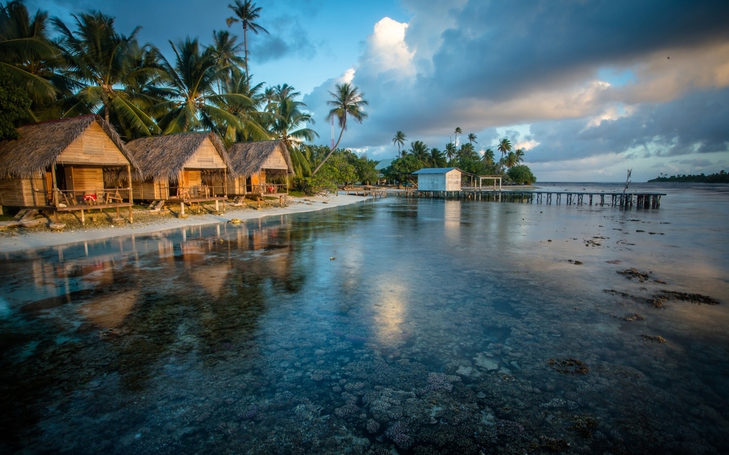 polynesia french, palm, water, bungalows, ocean