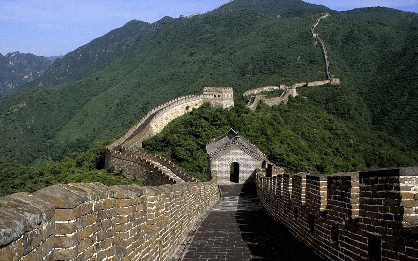 china, great, wall, tree