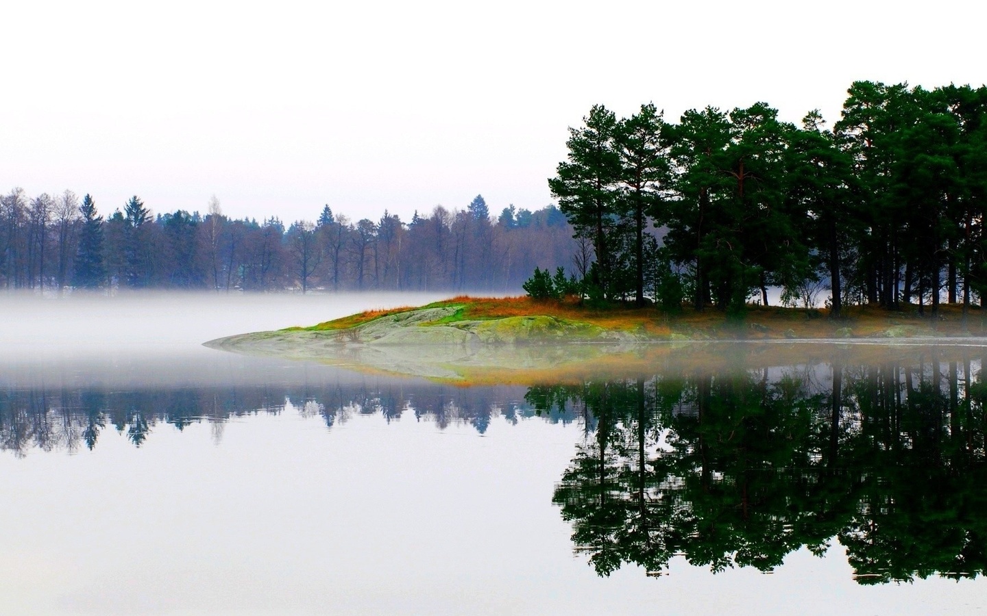 lake, mountain, tree, forest, water, sky, blue