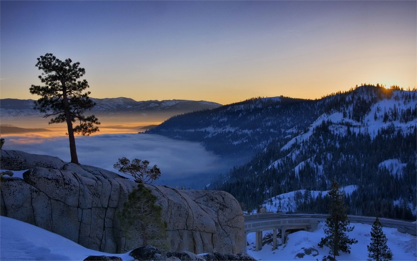 snow, mist, mountain, tree, sky