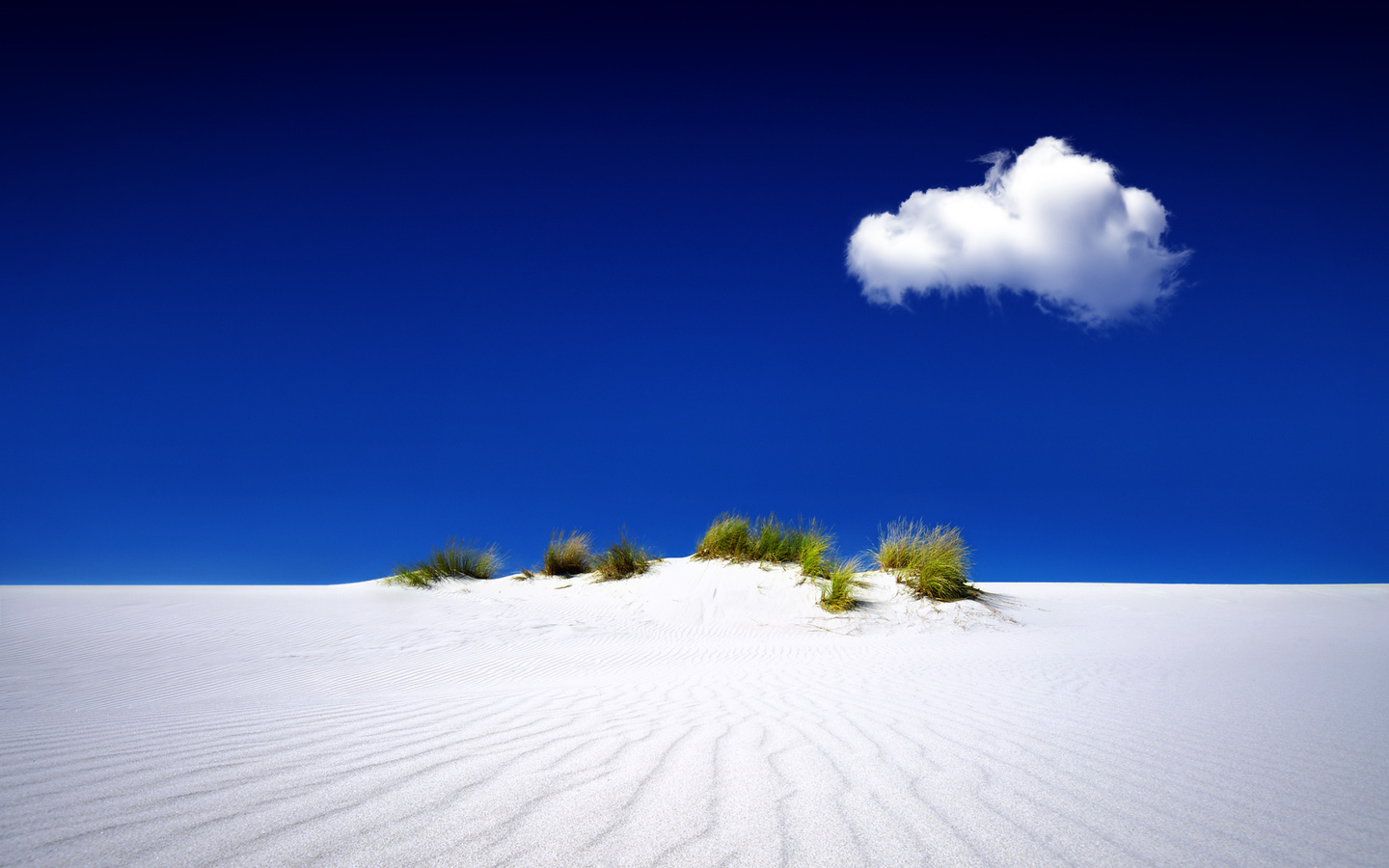 dune, palm, sand, sky