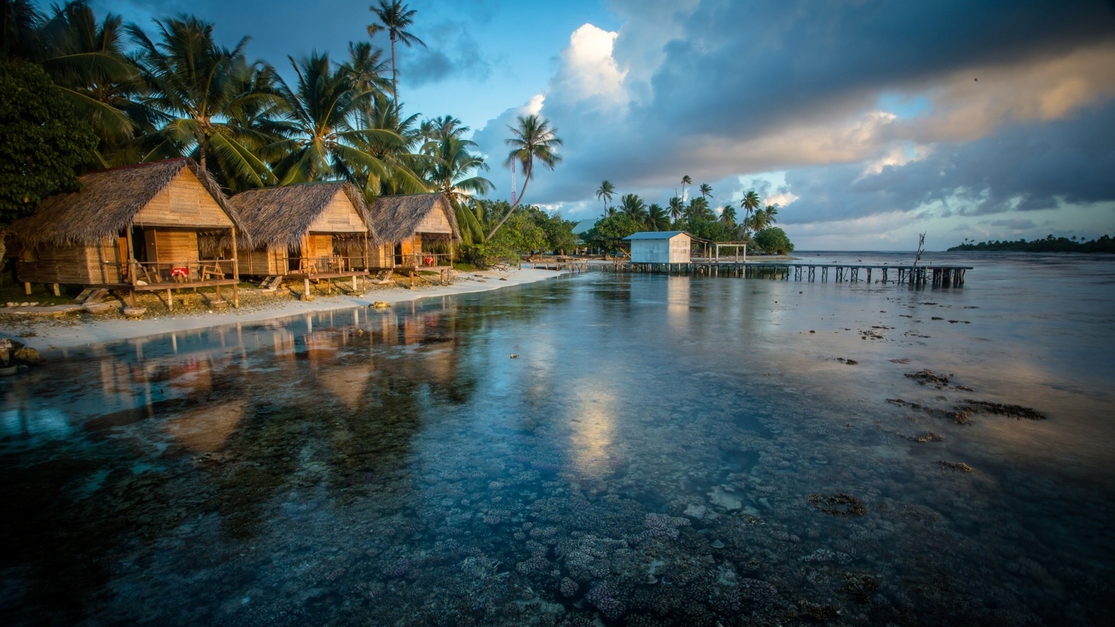 polynesia french, palm, water, bungalows, ocean