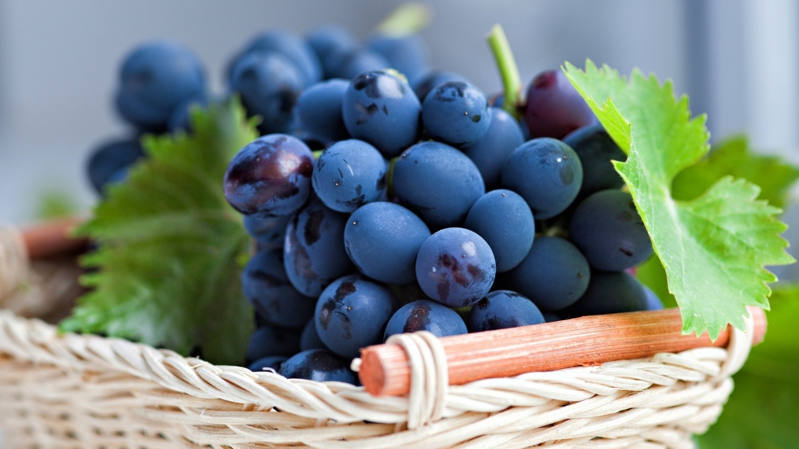 grapes, basket, fruit, branch