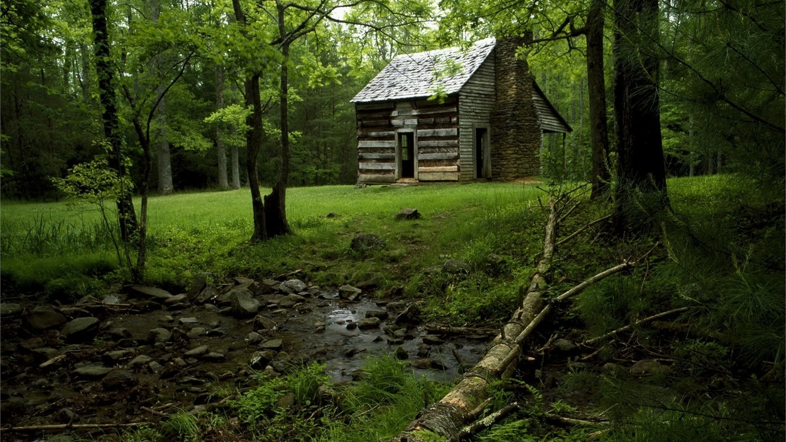 cabin, cottage, forest, tree, grass, green