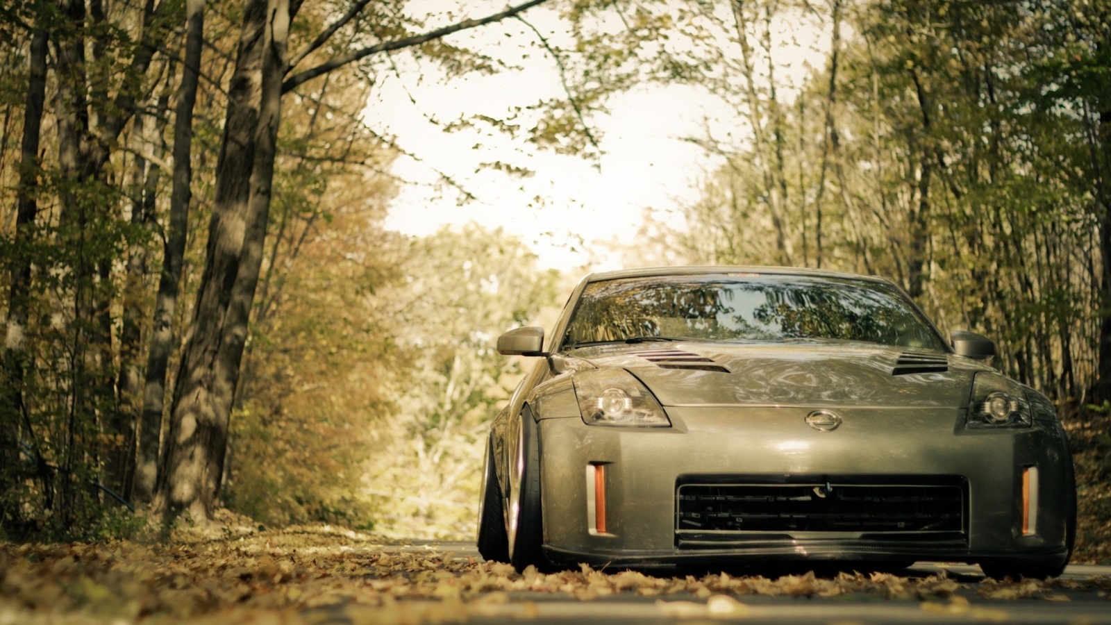 nissan, fairlady, forest, leaves