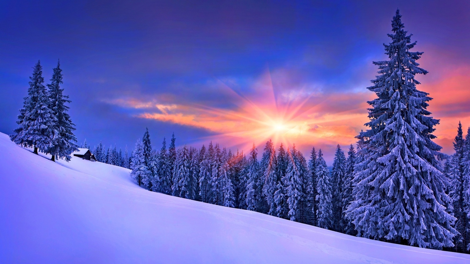 cabin, winter, mountain, tree, snow