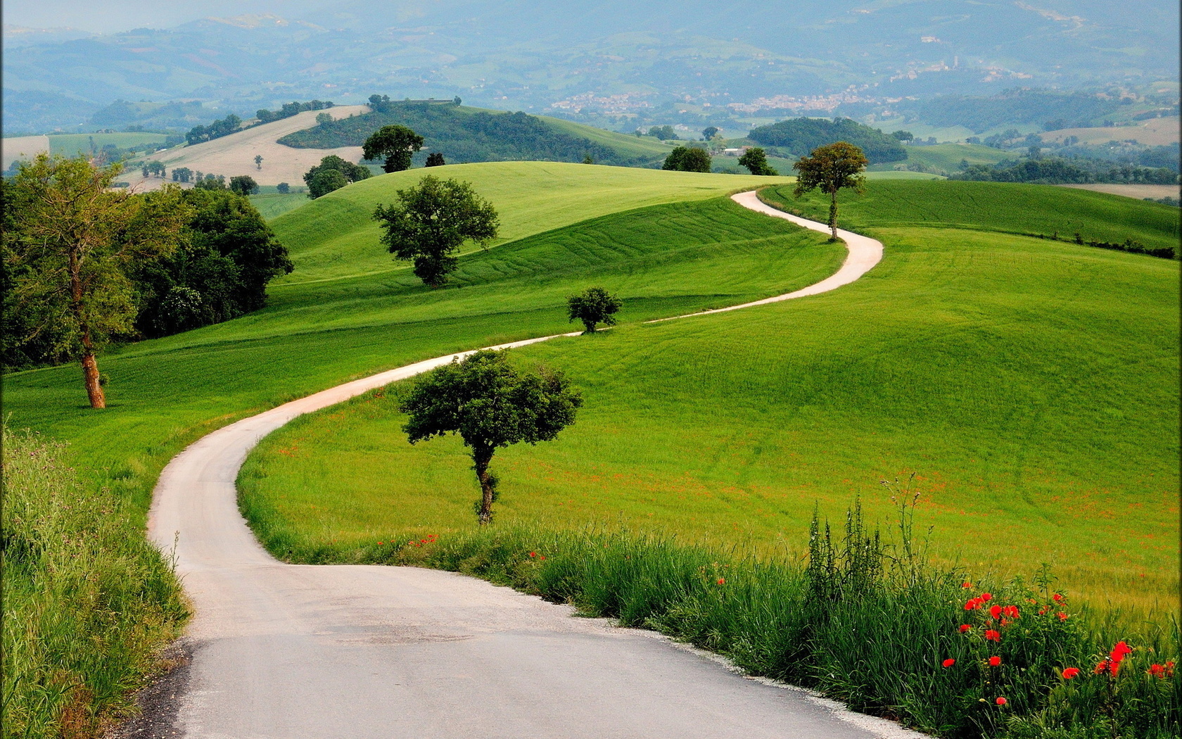 path, green, tree, grass, naturals