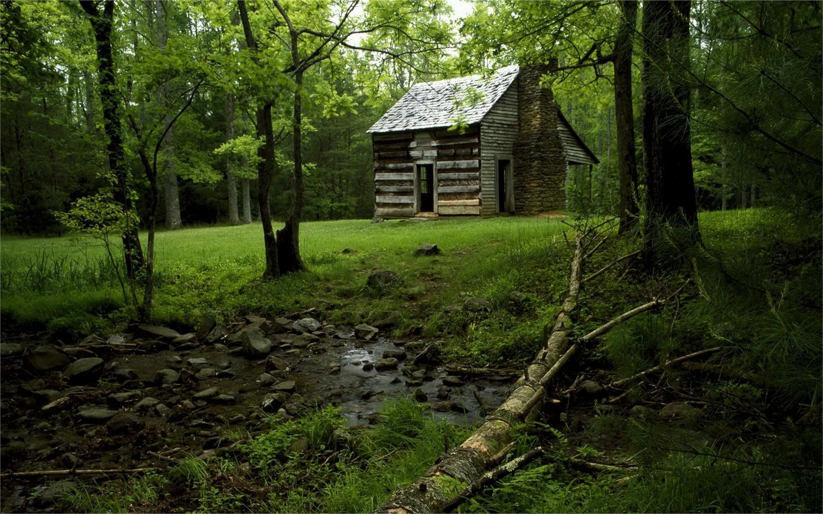 cabin, cottage, forest, tree, grass, green