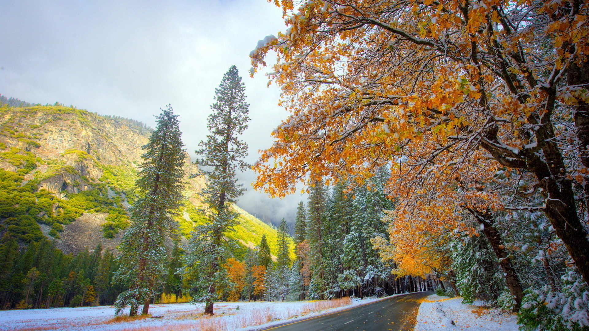 road, mountain, autumn, leaves