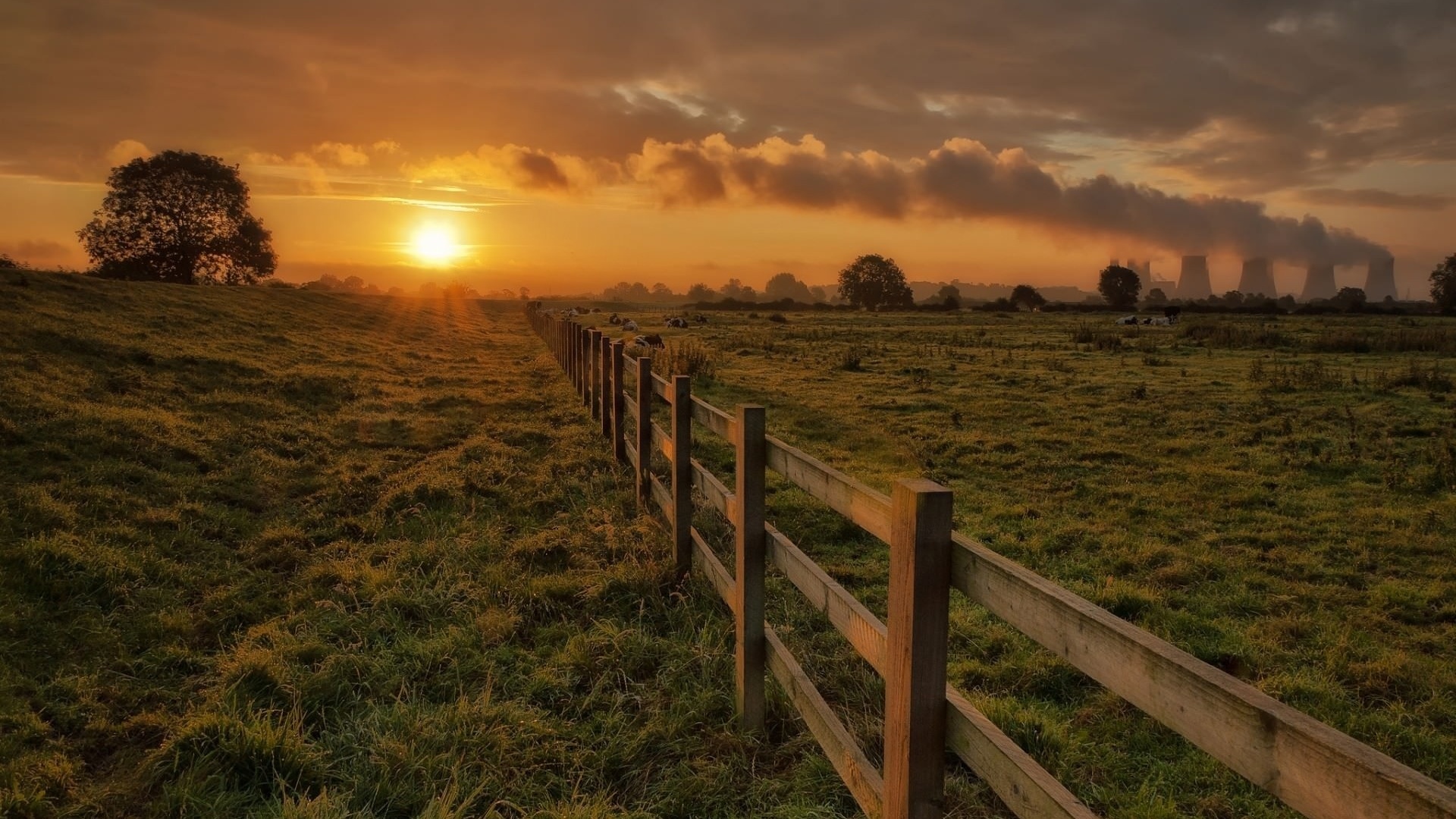 fence, sunset, sun, tree