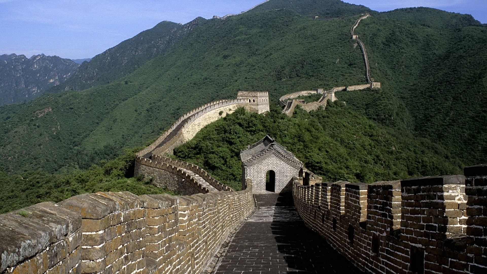 china, great, wall, tree