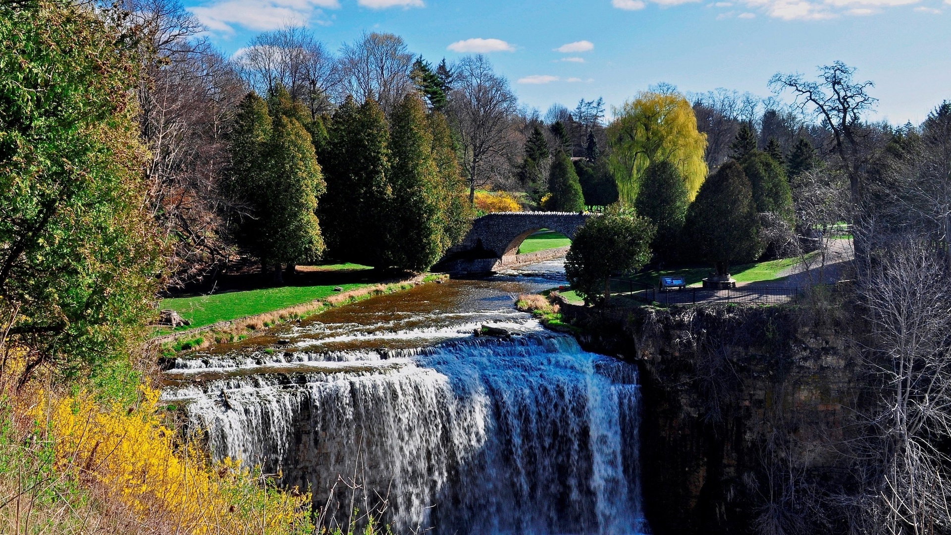 canada, ontario, waterfall, river, tree