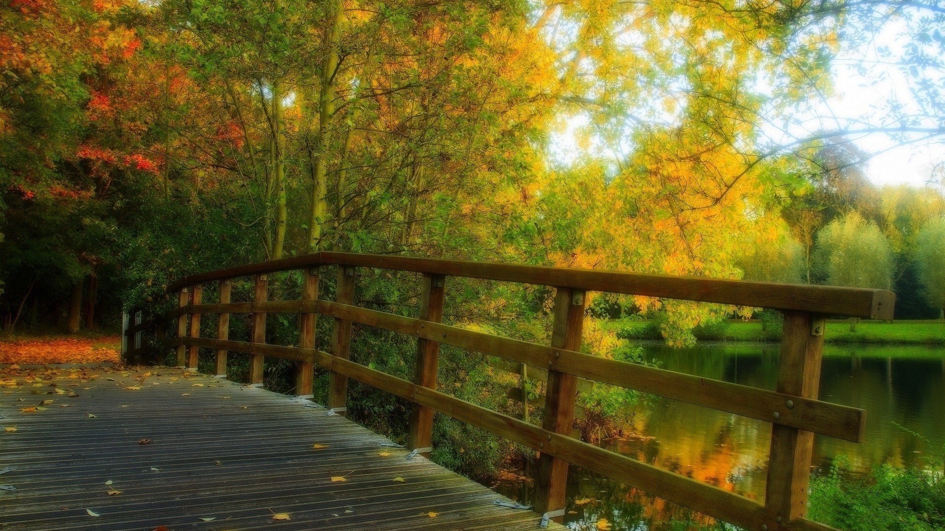 bridge, forest, leaves, tree, river, , 