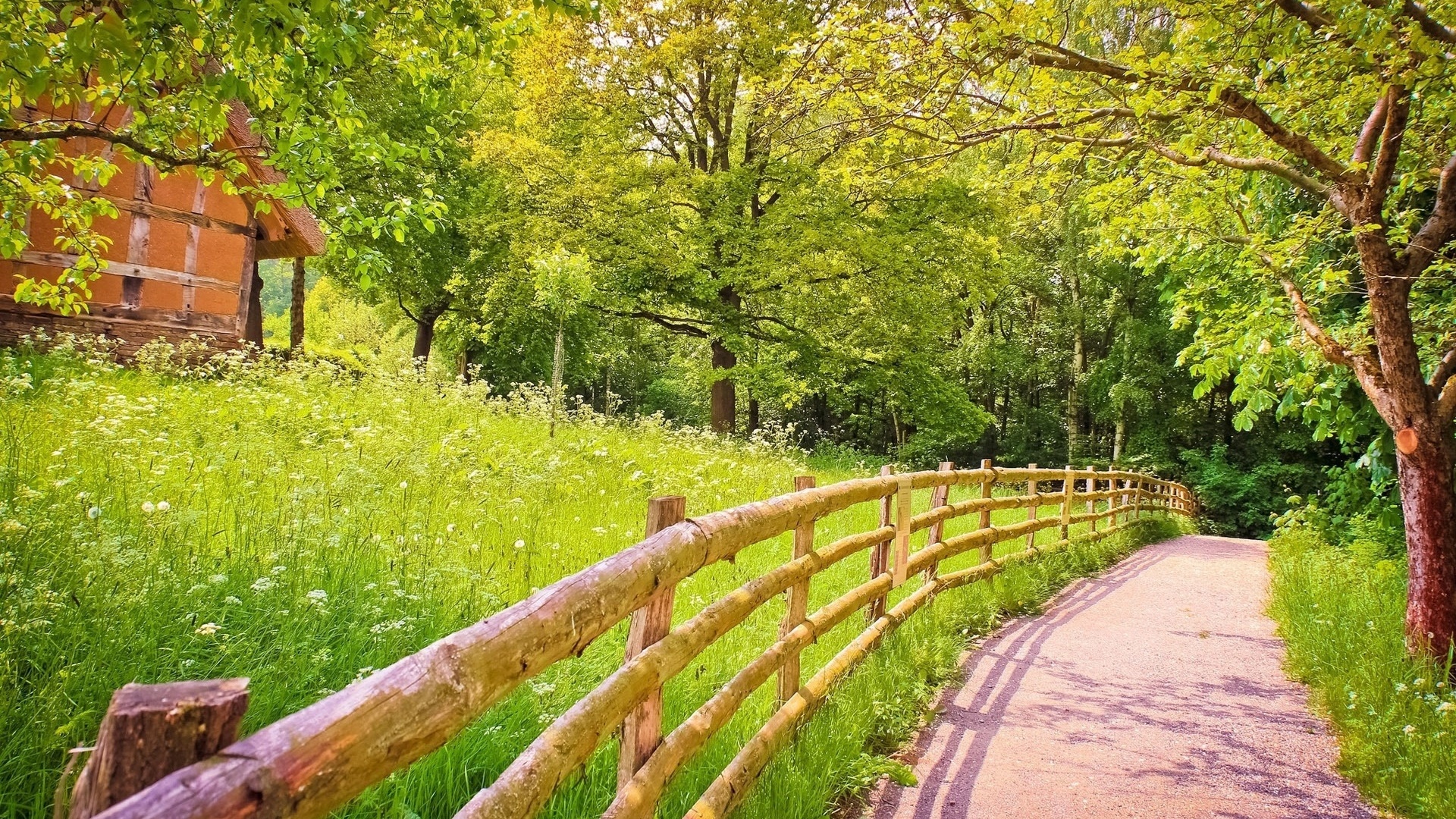 mountain, path, gree, grass, tree