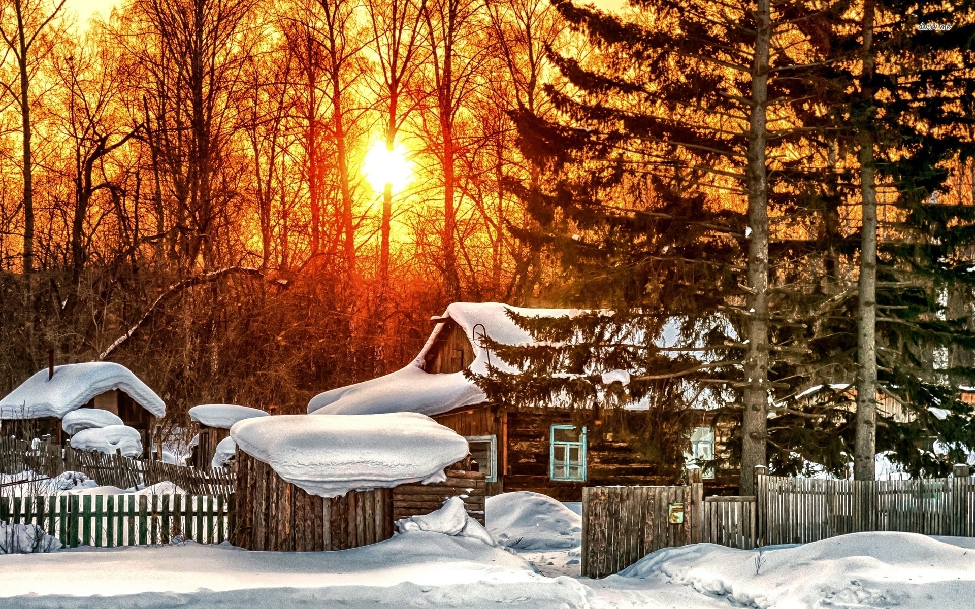 snowy, house, forest, tree, sunlight