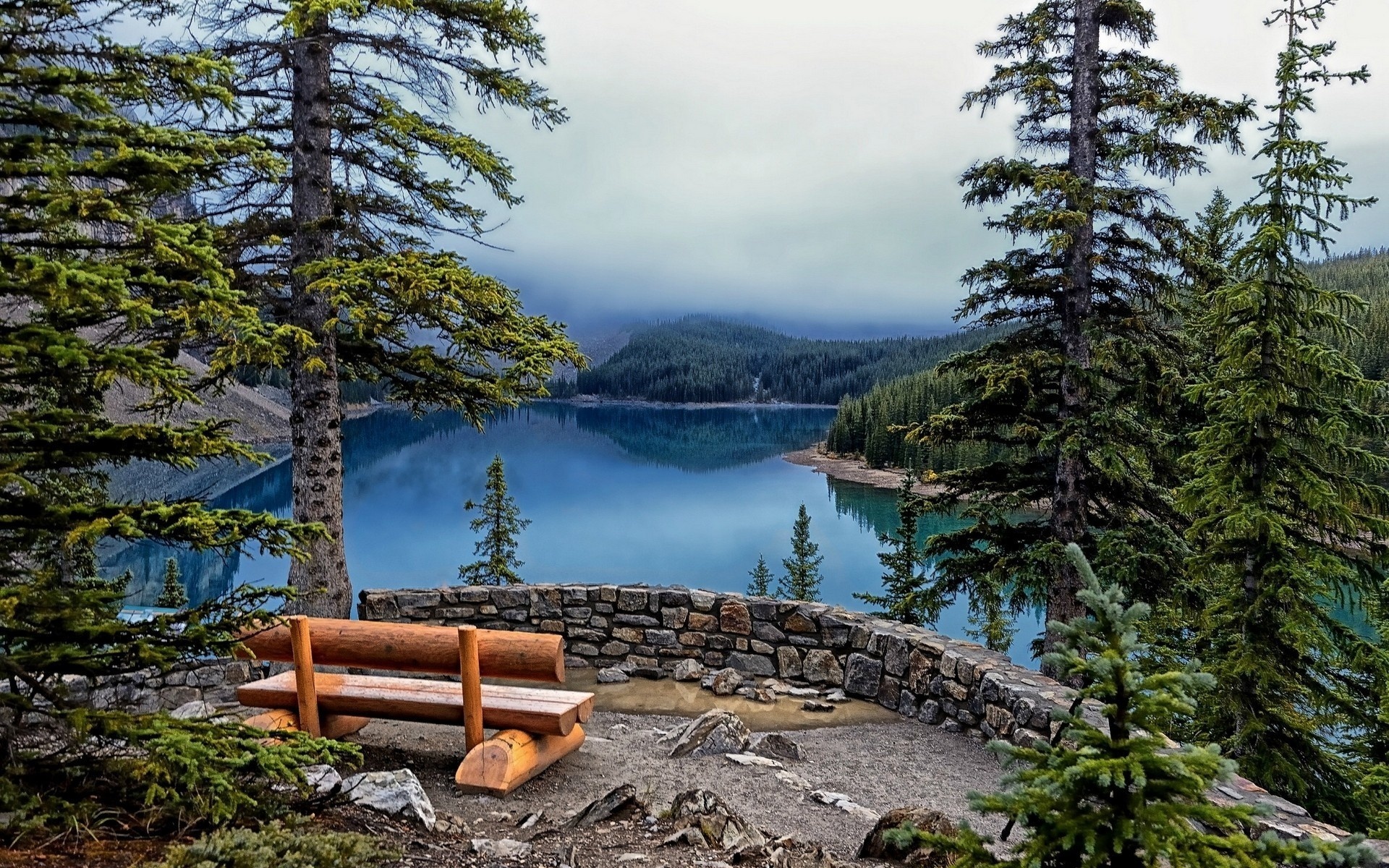 bench, lake, tree, water
