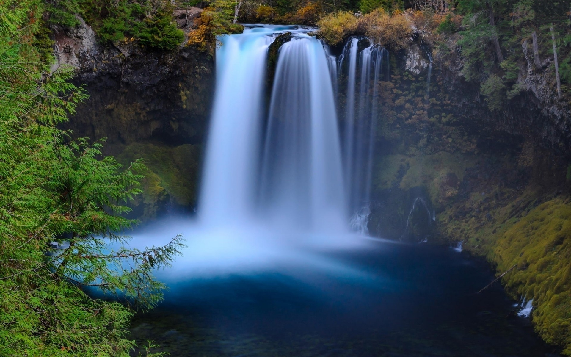 waterfall, forest, tree, river, water