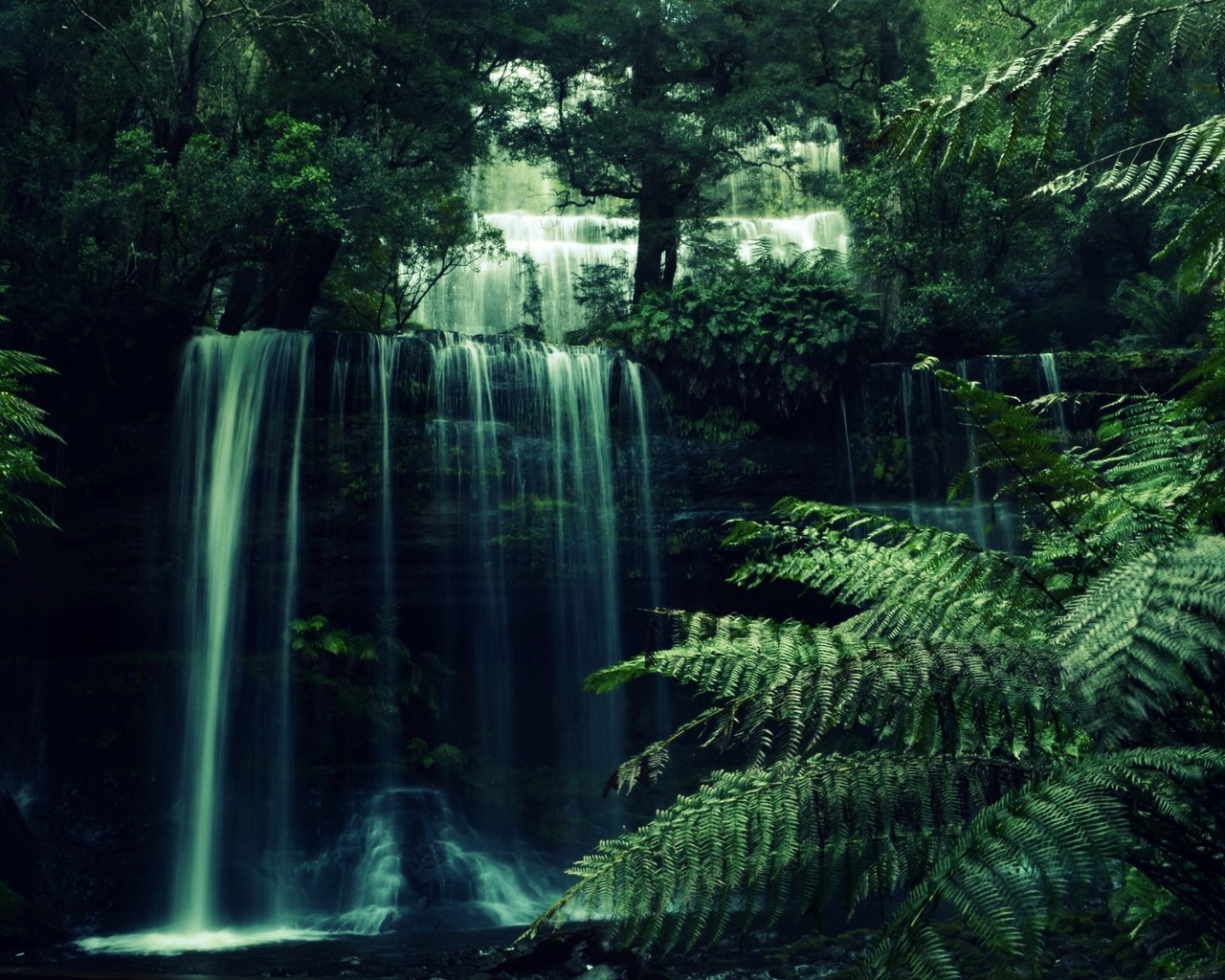waterfall, forest, tree, river, water