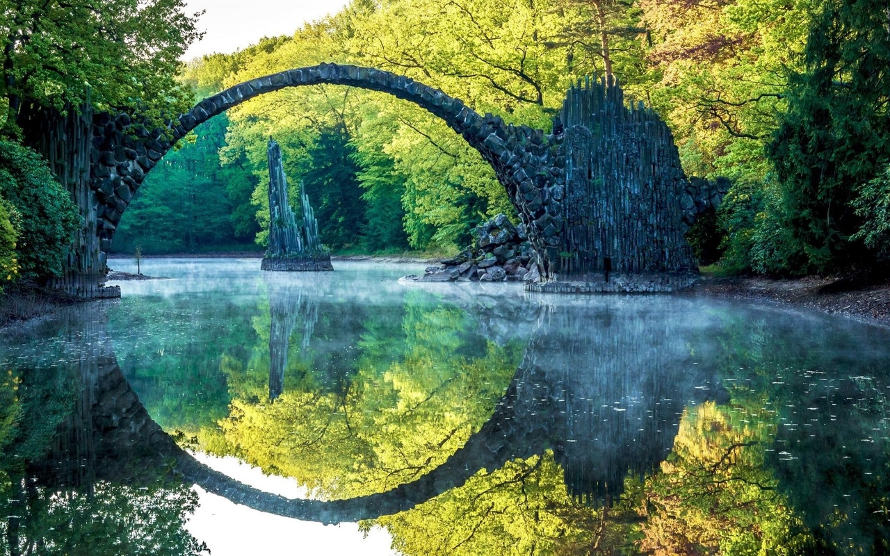 bridge, forest, reflextion, forest, tree, green