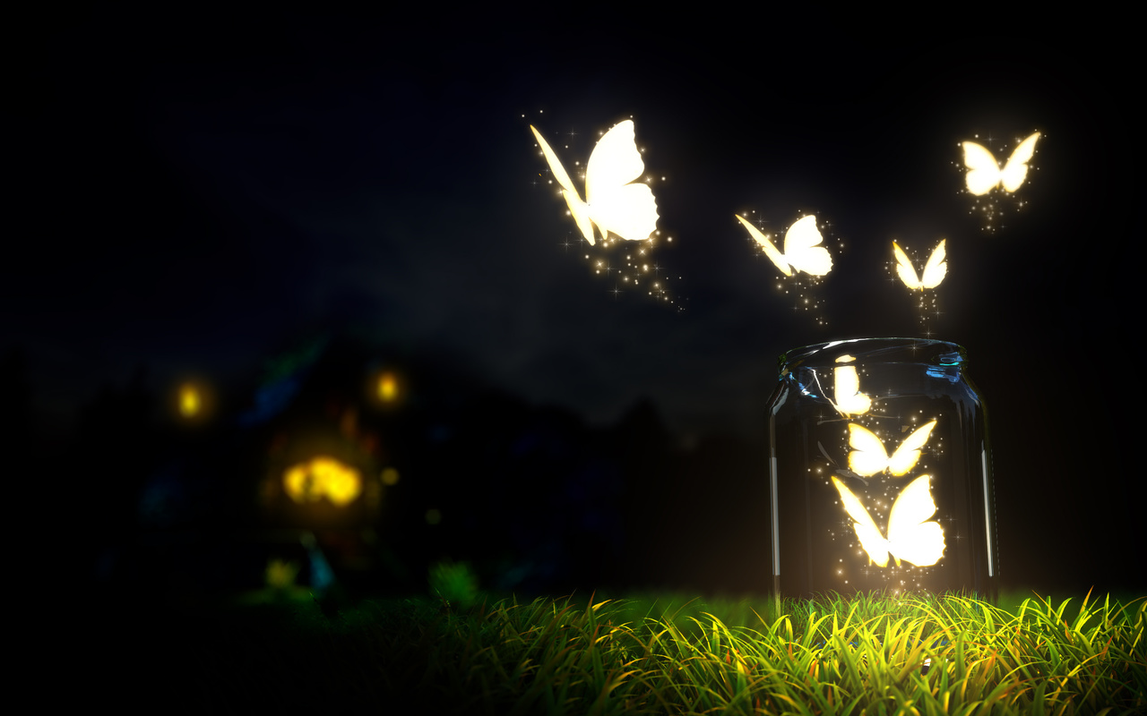 beautiful, glowing, butterflies, grass, bottle, blur, ground, night, dark sky, macro, nature, , , , , , , , ,  , , , 