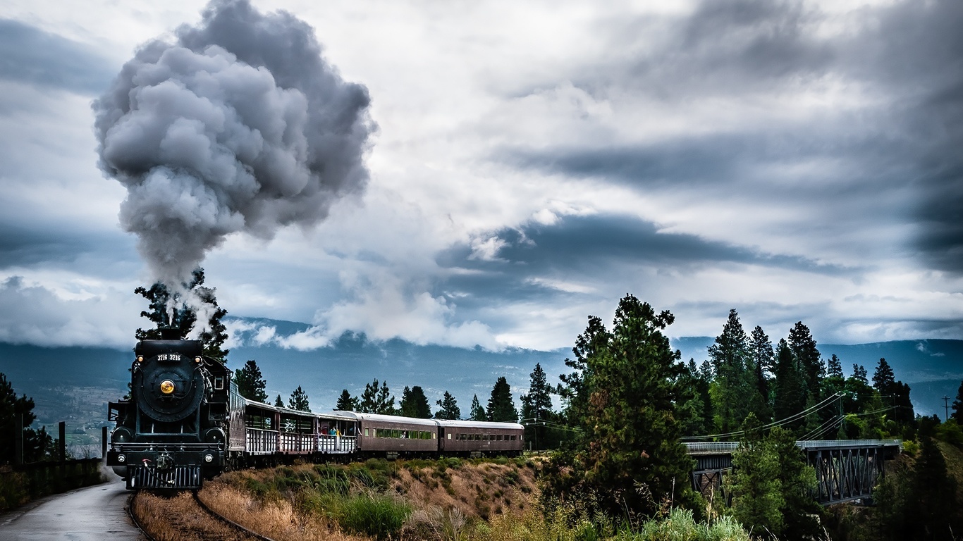 train, smoke, railroad, forest
