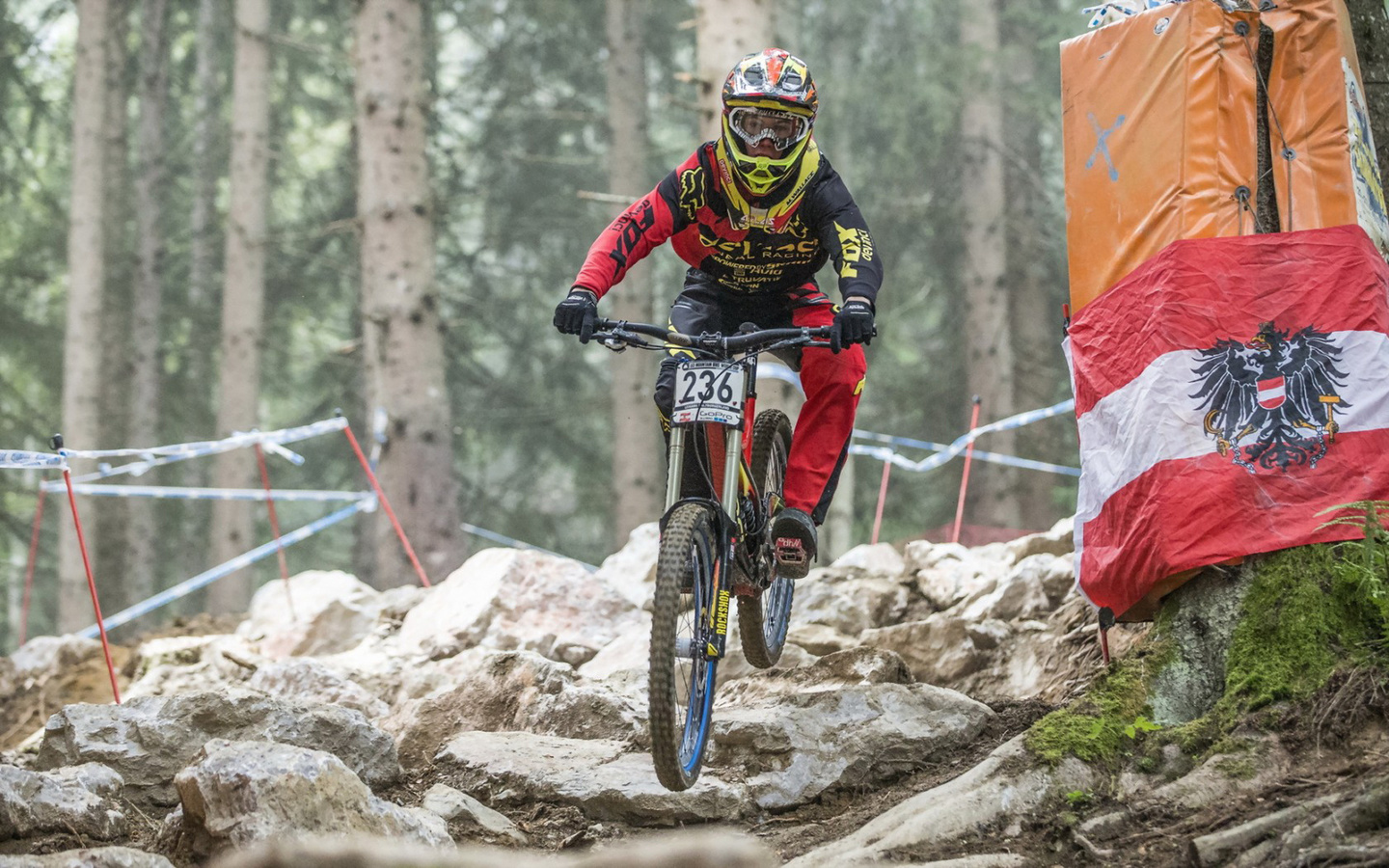 bike, ciclyn, mountainbike, forest, rock