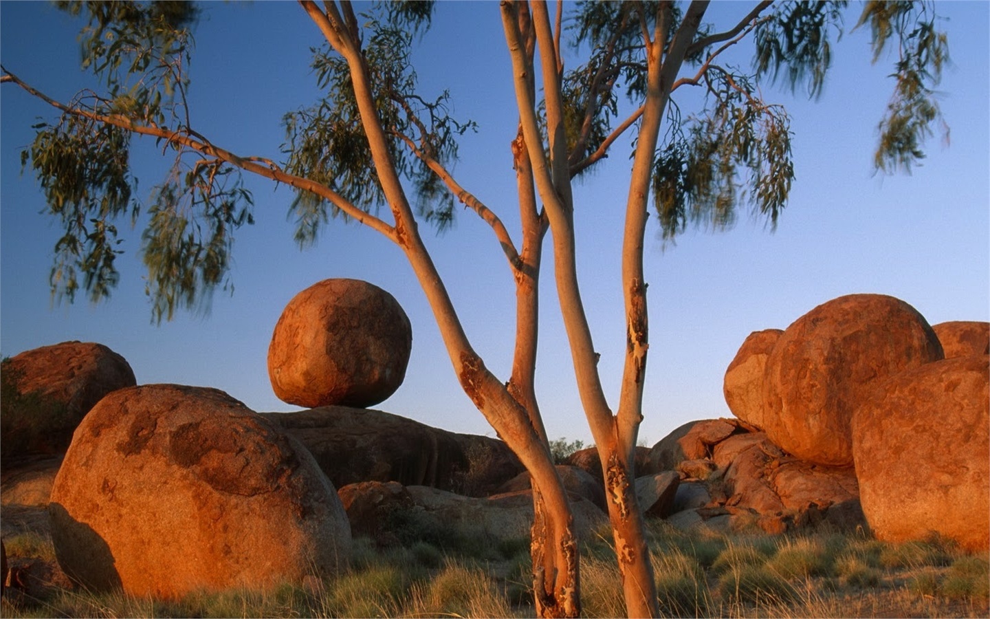 rock, sunset, tree, sky