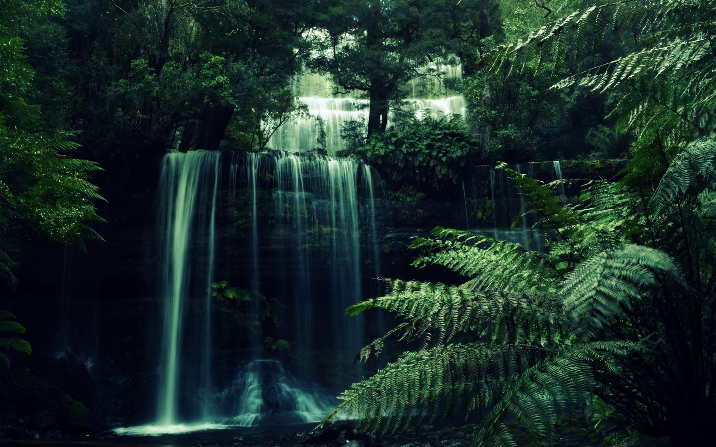 waterfall, forest, tree, river, water