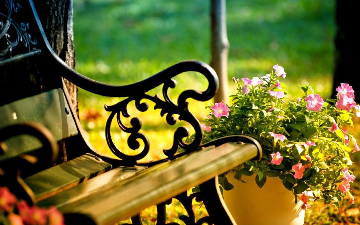 bench, flower, outdoors, patch