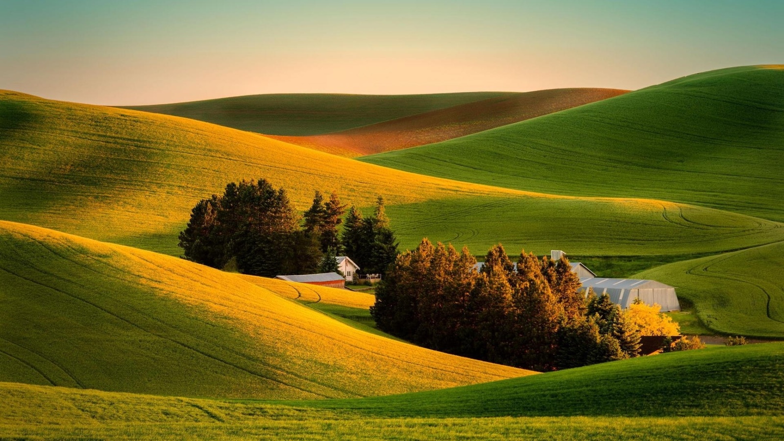 hills, houses, grass, green