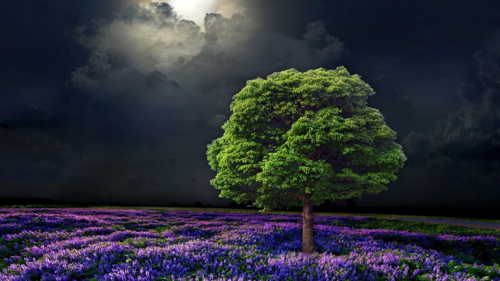 moon, flower, tree, clouds, sky