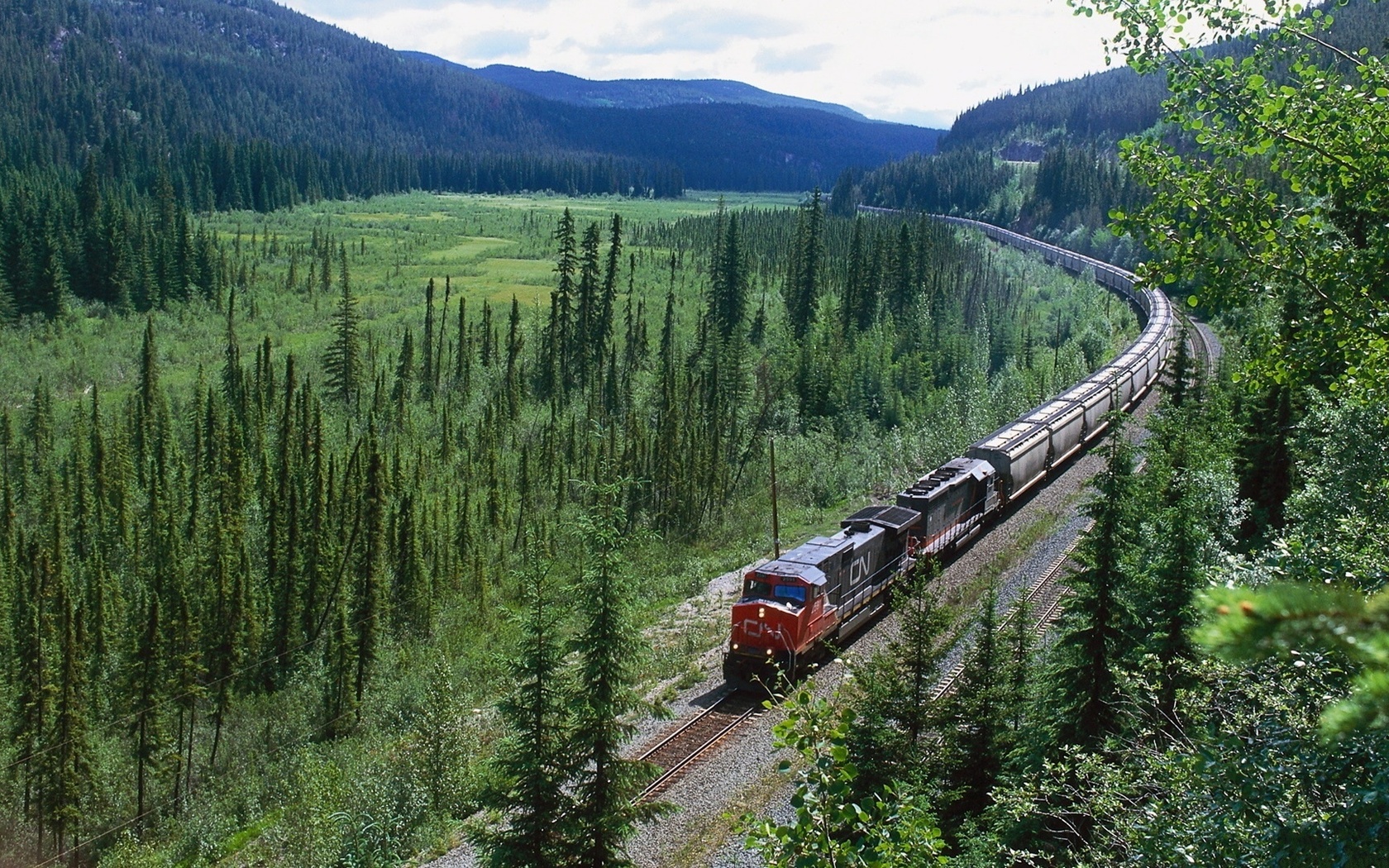 nature, train, railroad, forest