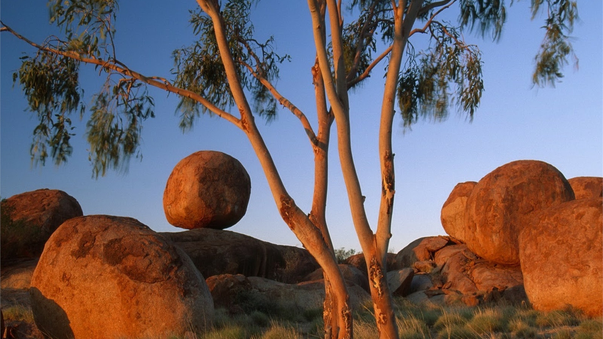 rock, sunset, tree, sky