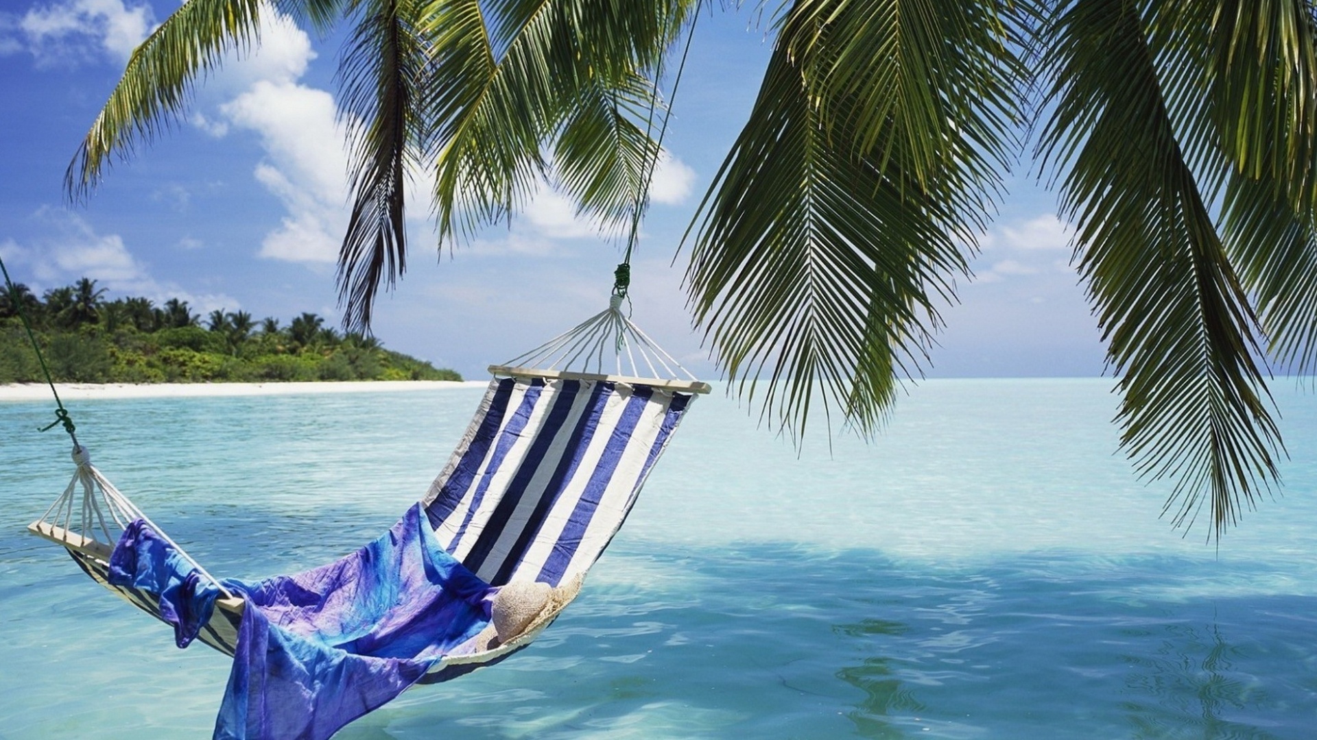 hammock, beach, palm, ocean, paradise, tropical