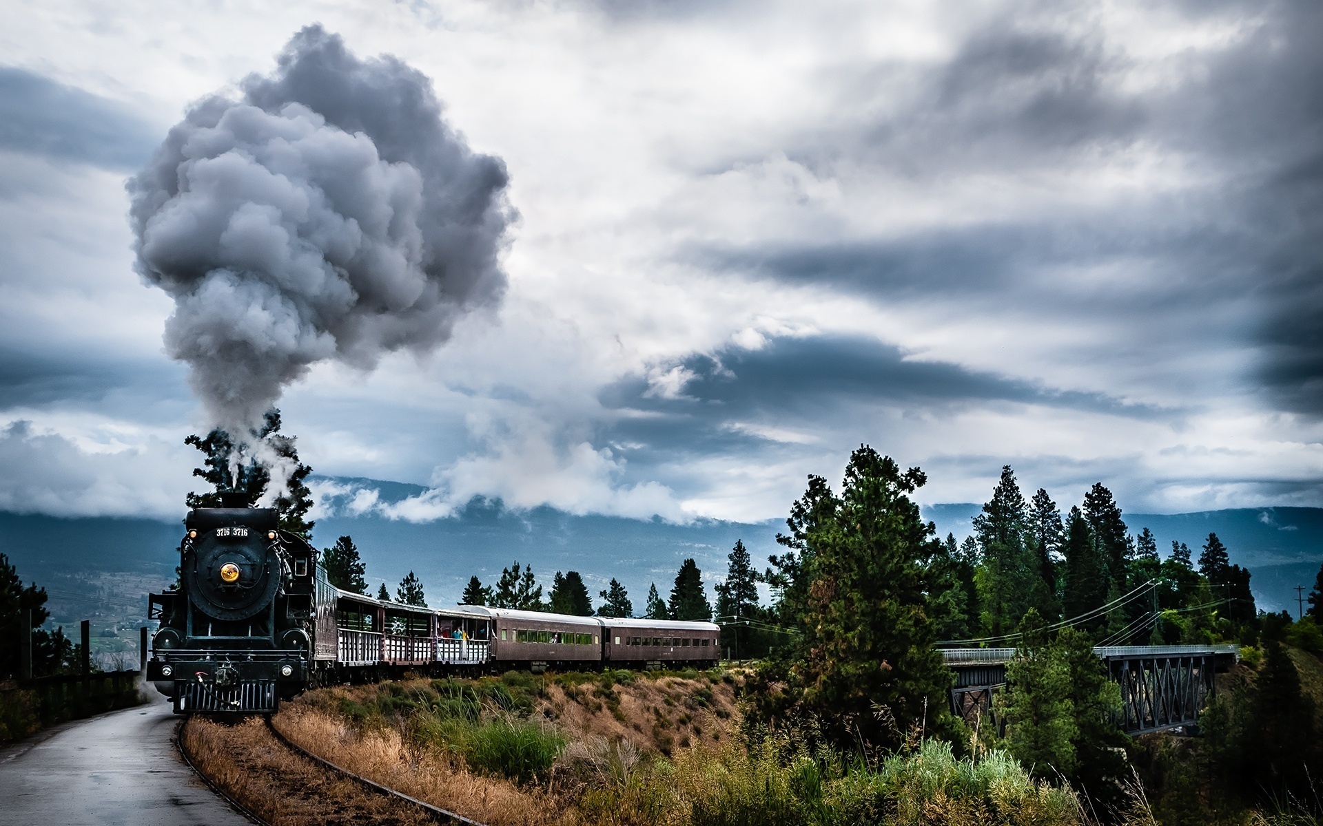 train, smoke, railroad, forest
