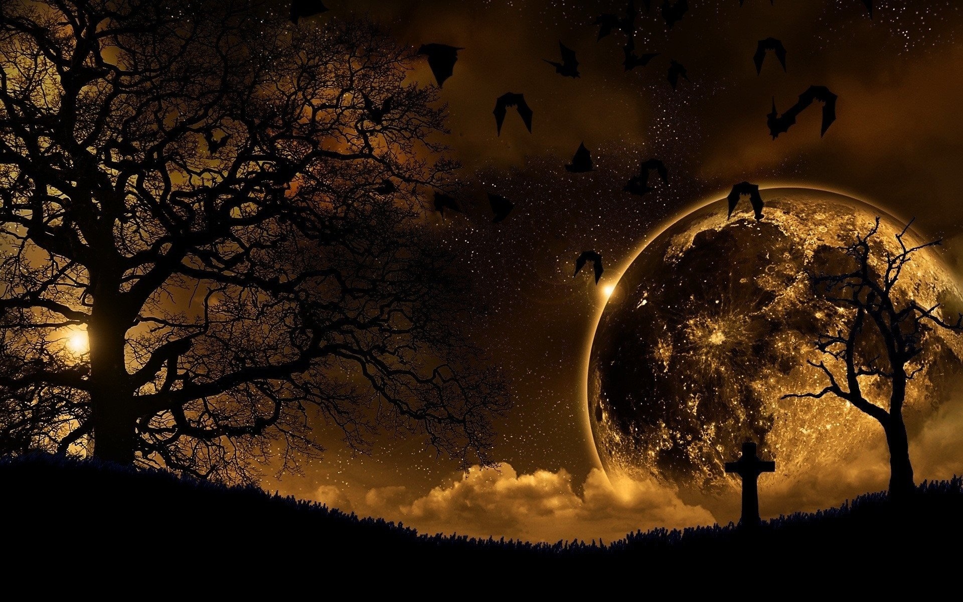 night, moon, tree, sky